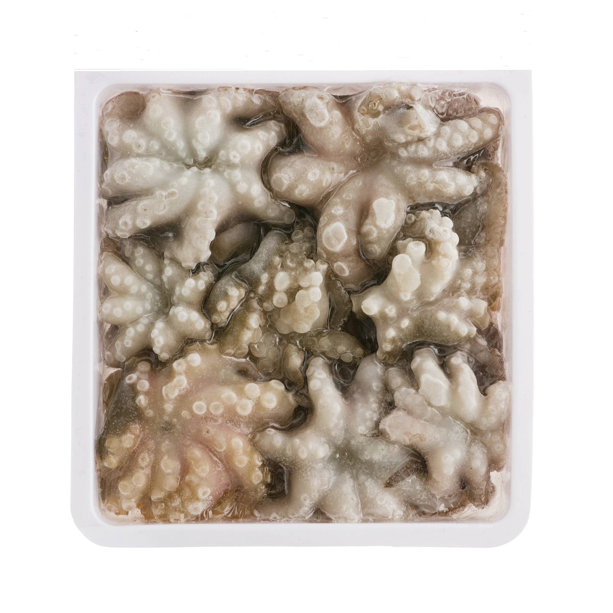 Caracatite Baby congelate 50/80 image