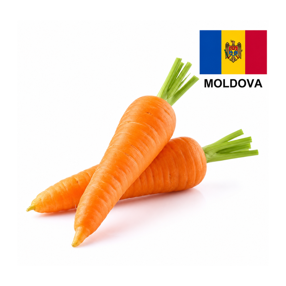 Морковь