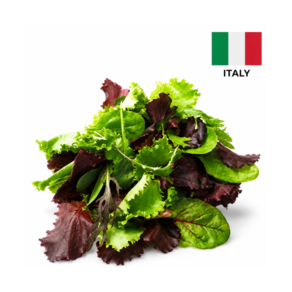Salata Mistecanza, 100g