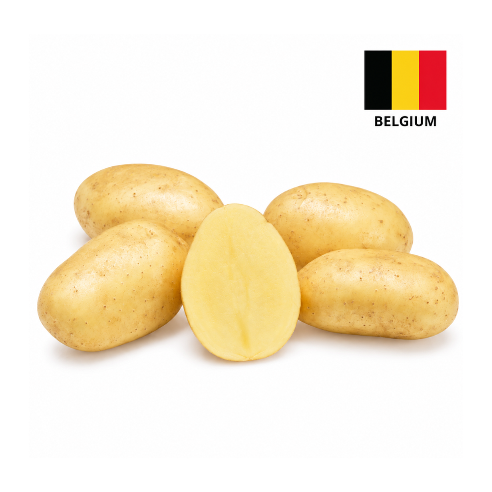 Картофель Belgieni Lady Anna 
