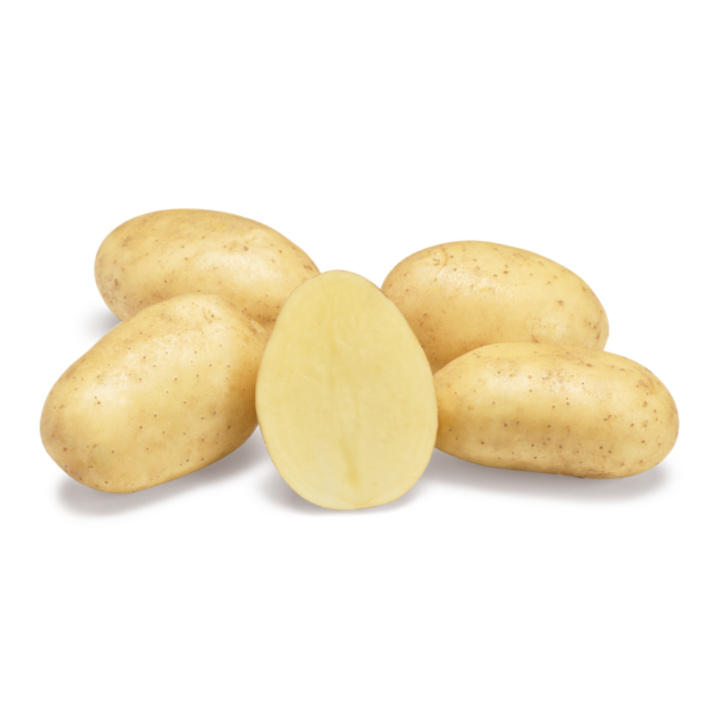 Cartofi Belgieni Lady Anna 