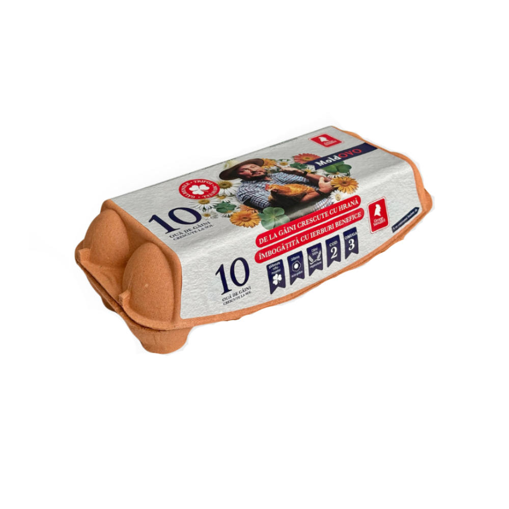 Oua de gaina COD2 "MoldOvo" 10 buc George Standard