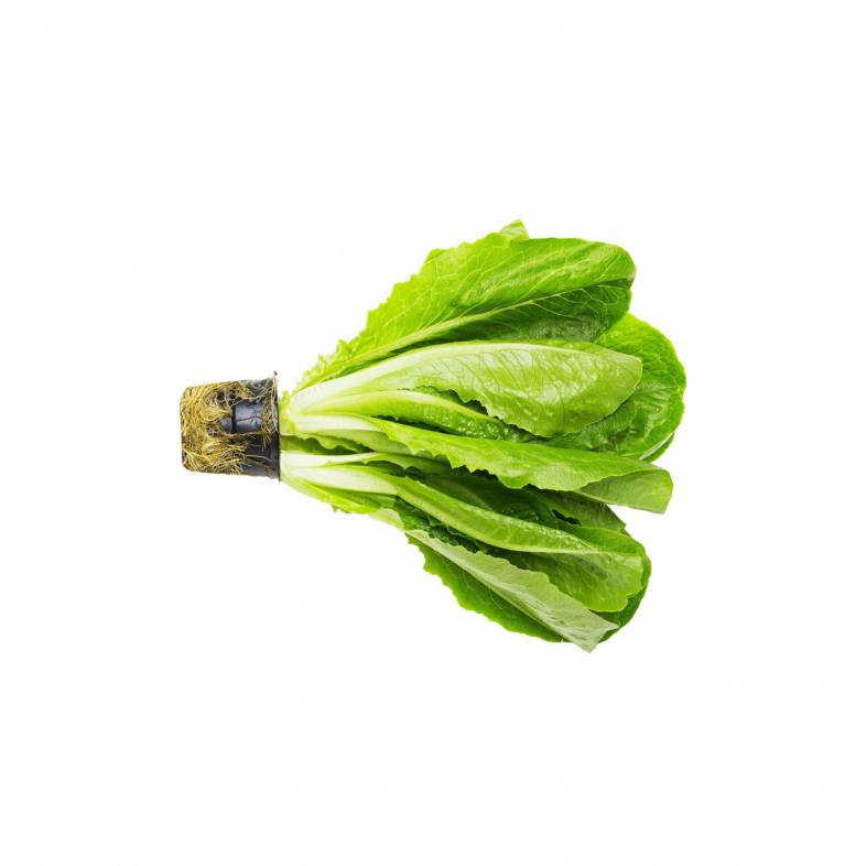 Салат  Romano	