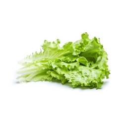 Salata Lollo, kg