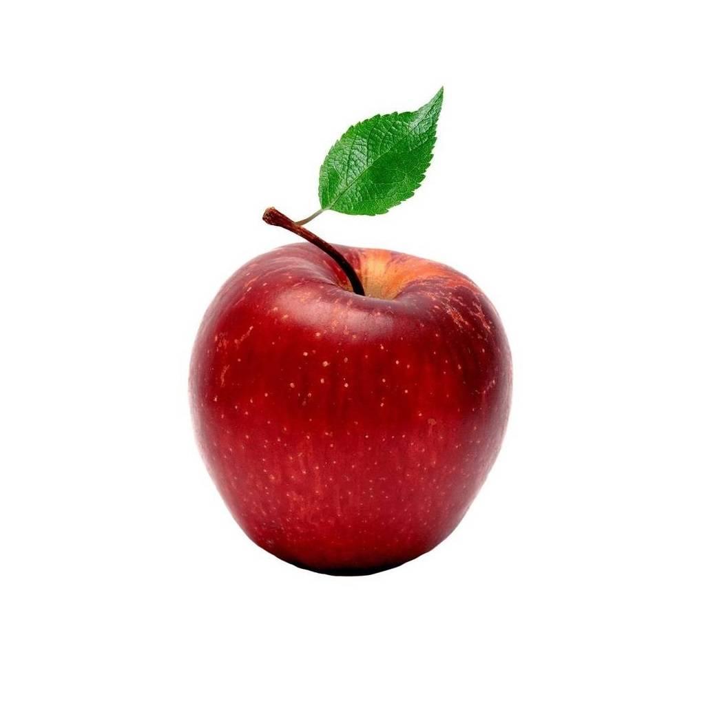Яблоки image