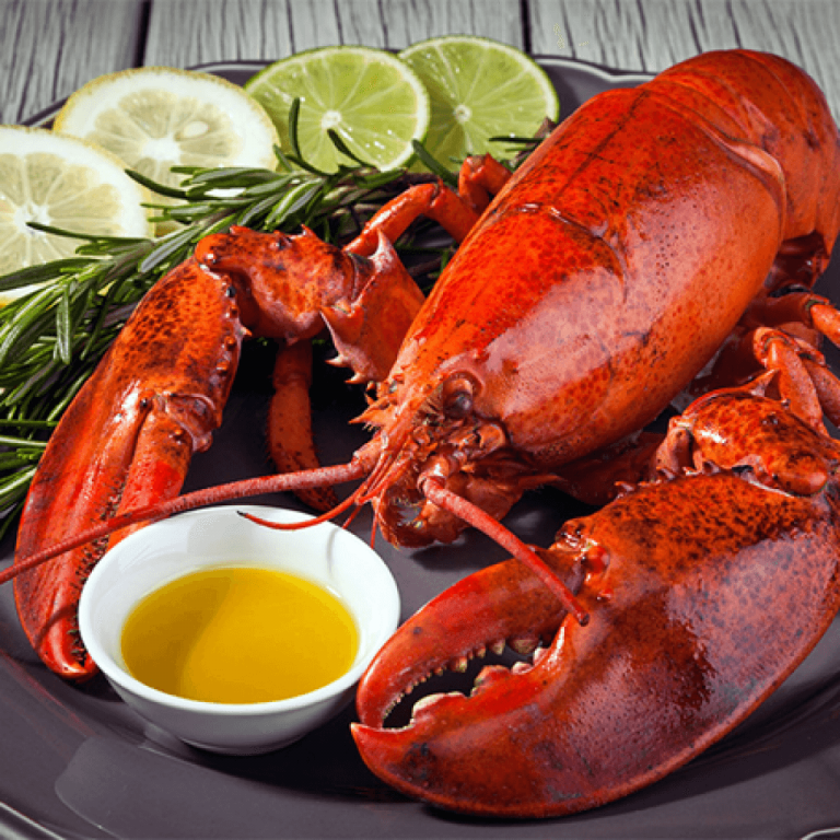 Lobster Canada, kg image
