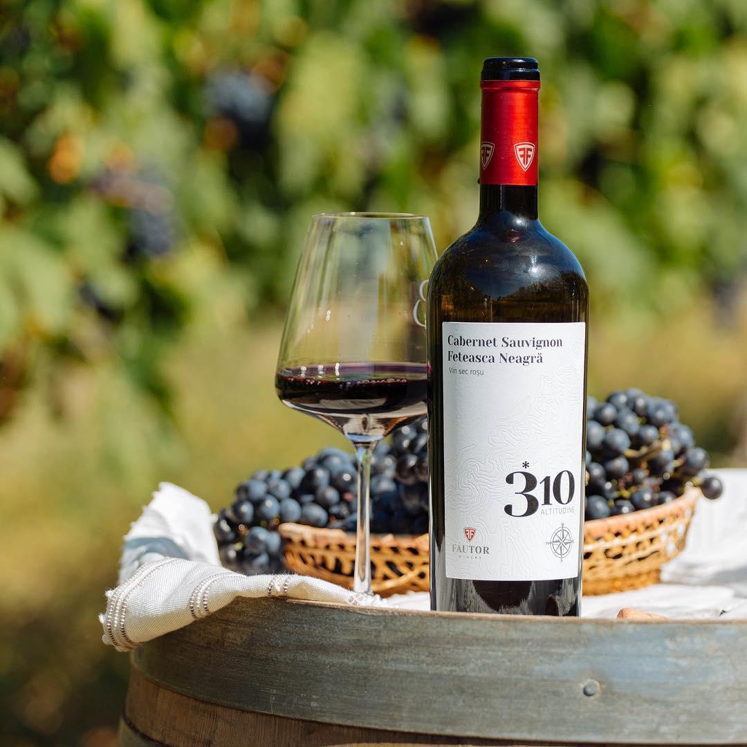 Вино красное сухое Merlot-Rara Neagra 2016, 0.75л image